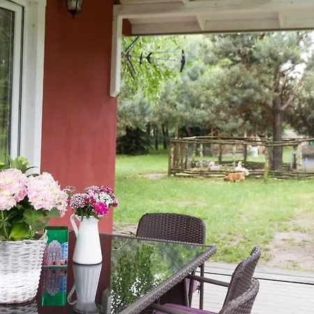 Sokole Ranczo Biskupice Kocurów