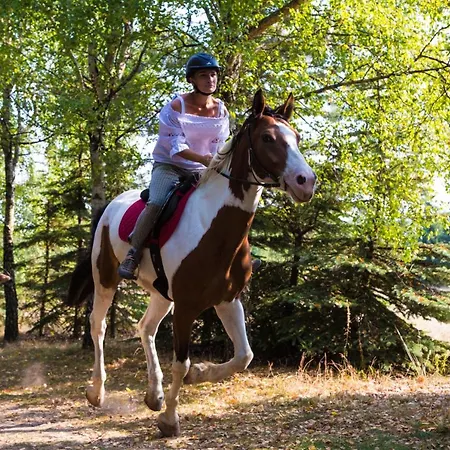 Feriegård Sokole Ranczo