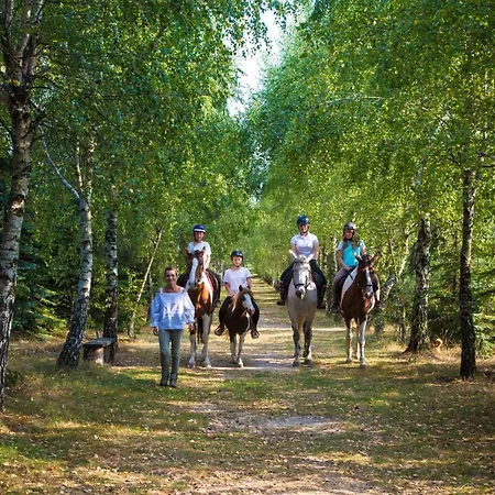 Feriegård Sokole Ranczo *