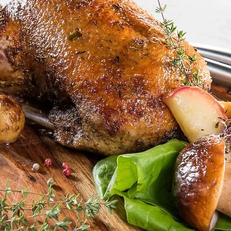 Feriegård Sokole Ranczo *