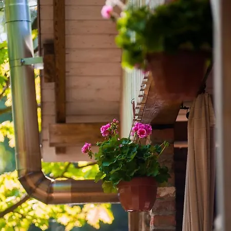 Sokole Ranczo * Biskupice Kocurów