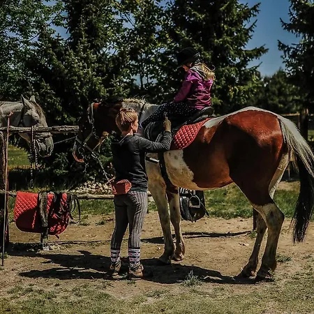Sokole Ranczo * Biskupice Kocurów