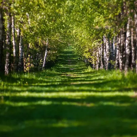 Sokole Ranczo Фермерский дом *