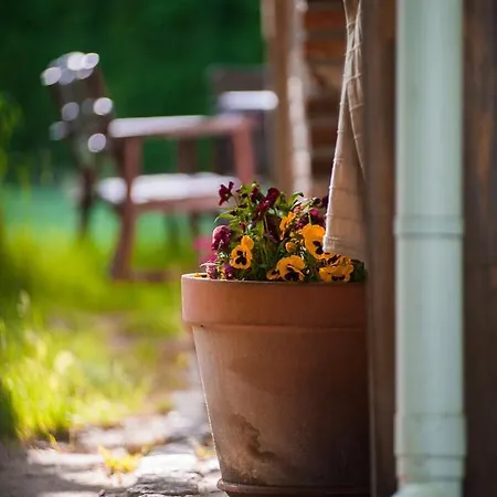 Фермерский дом Sokole Ranczo *