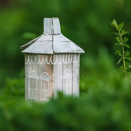 Sokole Ranczo Feriegård Biskupice Kocurów