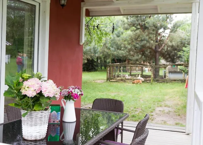 Sokole Ranczo Biskupice Kocurów