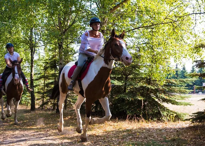 Gospodarstwo agroturystyczne Sokole Ranczo