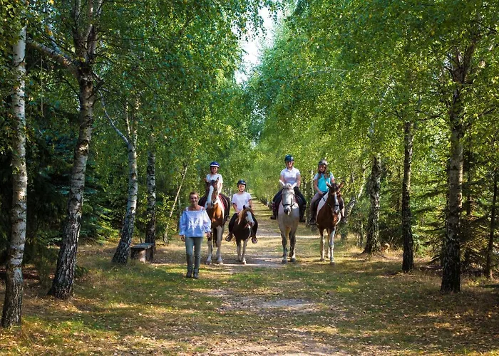 Gospodarstwo agroturystyczne Sokole Ranczo *