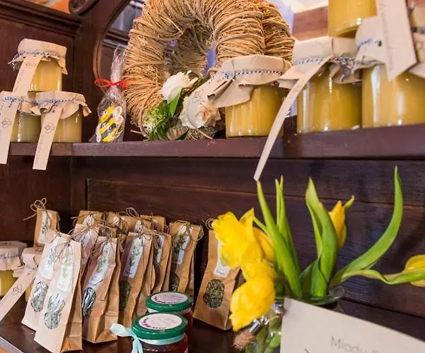 Sokole Ranczo * Biskupice Kocurów