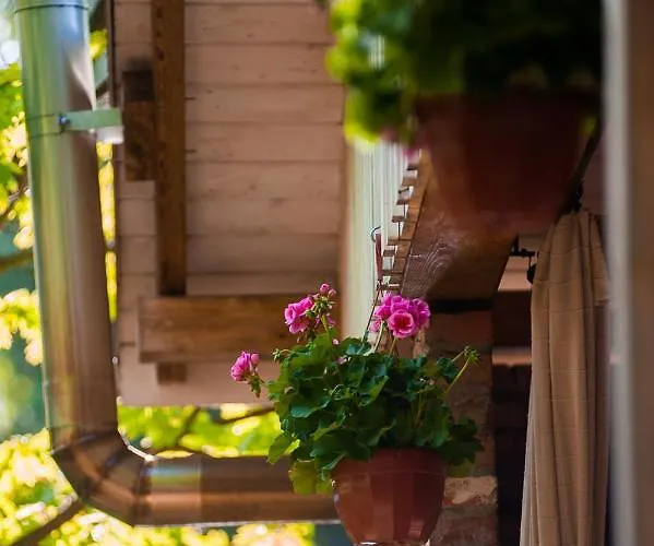 Sokole Ranczo * Biskupice Kocurów