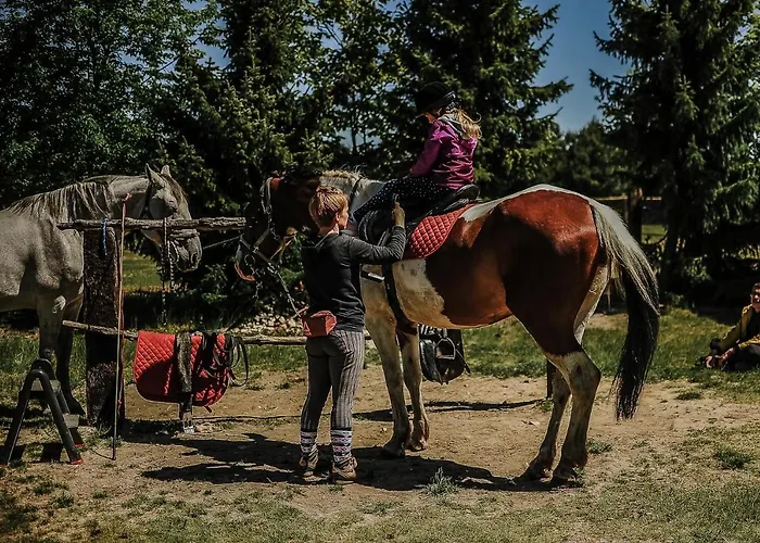 Sokole Ranczo * Biskupice Kocurów