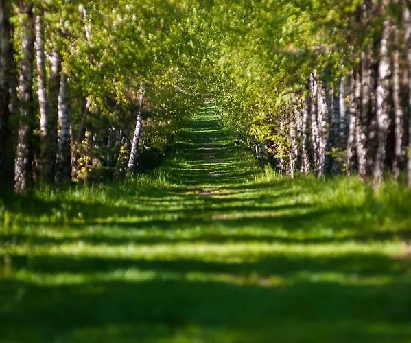 Sokole Ranczo Gospodarstwo agroturystyczne *